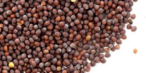 Brown Mustard Seeds