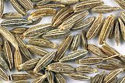 Cumin Seed
