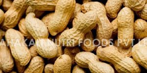 Peanuts