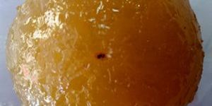 Then Nelli Honey Amla Piece