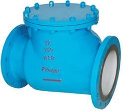 Swing Check Valve
