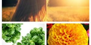 Krya Damage Repair Hair Oil