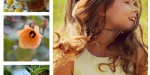 Krya Damage Repair Hair Wash