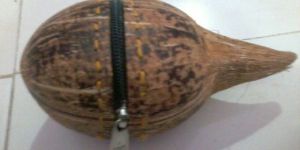 COCONUT SHELL GIFT BOXES