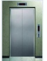 Auto Door Elevator
