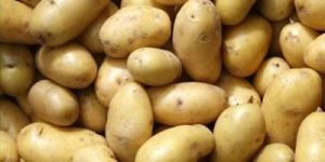 Fresh Potato
