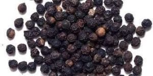 Black Pepper Seeds