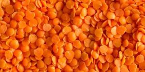 Split Red Lentils