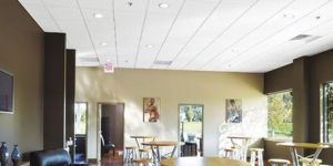 Laminated Gypsum Ceiling
