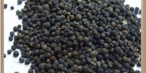 BLACK PEPPER :