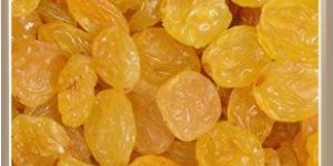GOLDEN RAISINS: