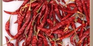 RED CHILLIES: