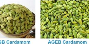 Cardamom
