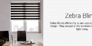 Zebra Blinds