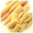 Fresh and Frozen Baby Corn