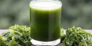 Karela Juice