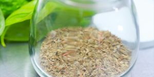 Dry Basil Powder