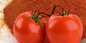 Dry Tomato Powder