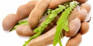 Tamarind