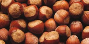 Hezelnut