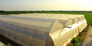 Greenhouses Regulate Temperature