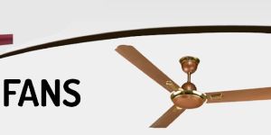 Designer Crompton Ceiling Fans