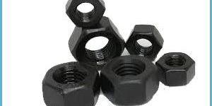 Hex Nuts