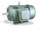 Three Phase Induction Motor