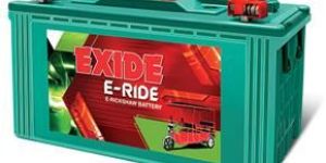 Exide E-Ride battery