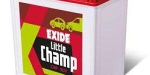 Exide Little Champ Batteries