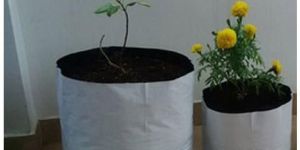 Grow Bag and Nursery Bags