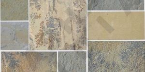 Mint Fossil Sandstone