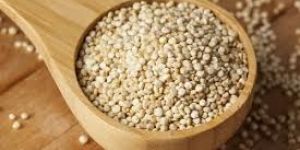 Quinoa Seeds