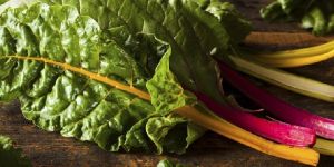 Fresh Collard Greens Leaves