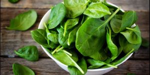 Fresh Spinach