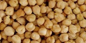 Chick Peas