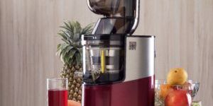 Slow Juicer