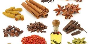 Indian Spices