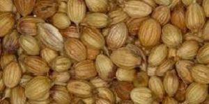 Coriander Whole