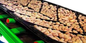 Cleated Conveyor Belt