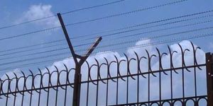 Reinforced Punch Tape