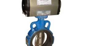 Butterfly Valve