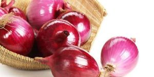 Fresh Red Onion