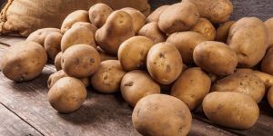 Fresh Potato