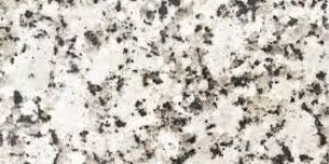 Platinum White Granite