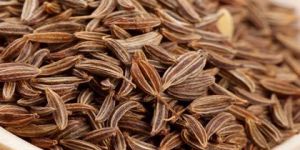 Cumin Seeds