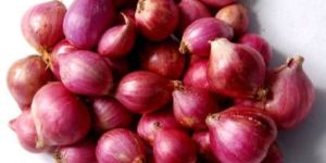 Small Onion