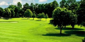 Soil Conditioner Amendments for Golf Courses & Sports Turfs