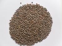 Moong and Green Bean