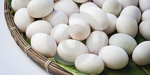 Piken Duck Hatching Eggs